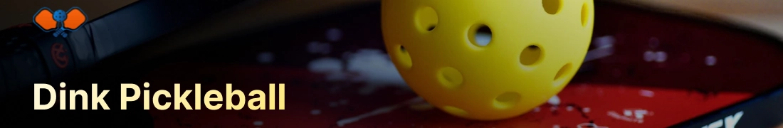Dink Pickleball