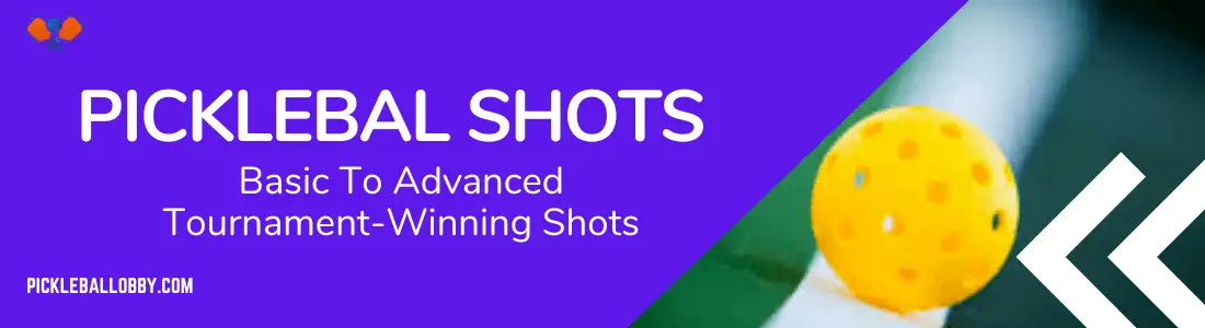 Pickleball Shots